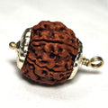 Rudraksha - Authentic Genuine Rudraksha Mala - 108 Beads - Canaduo
