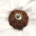 Rudraksha - Authentic Genuine Rudraksha Mala - 108 Beads - Canaduo