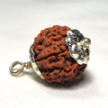 Rudraksha - Authentic Genuine Rudraksha Mala - 108 Beads - Canaduo