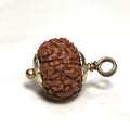Rudraksha - Authentic Genuine Rudraksha Mala - 108 Beads - Canaduo