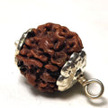 Rudraksha - Authentic Genuine Rudraksha Mala - 108 Beads - Canaduo
