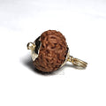 Rudraksha - Authentic Genuine Rudraksha Mala - 108 Beads - Canaduo
