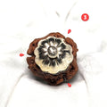 Rudraksha - Authentic Genuine Rudraksha Mala - 108 Beads - Canaduo