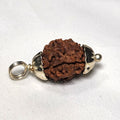 Rudraksha - Authentic Genuine Rudraksha Mala - 108 Beads - Canaduo