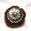 Rudraksha - Authentic Genuine Rudraksha Mala - 108 Beads - Canaduo