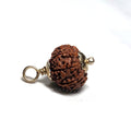 Rudraksha - Authentic Genuine Rudraksha Mala - 108 Beads - Canaduo