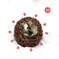 Rudraksha - Authentic Genuine Rudraksha Mala - 108 Beads - Canaduo