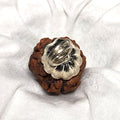 Rudraksha - Authentic Genuine Rudraksha Mala - 108 Beads - Canaduo
